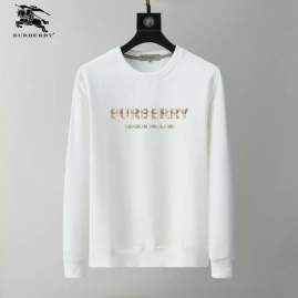 Picture of Burberry Sweatshirt _SKUBurberryM-3XL25tx14830793